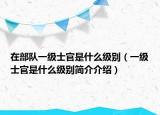 在部隊(duì)一級(jí)士官是什么級(jí)別（一級(jí)士官是什么級(jí)別簡(jiǎn)介介紹）