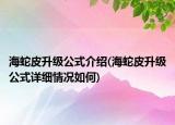 海蛇皮升級公式介紹(海蛇皮升級公式詳細(xì)情況如何)