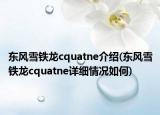 東風(fēng)雪鐵龍cquatne介紹(東風(fēng)雪鐵龍cquatne詳細(xì)情況如何)