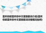 喜歡你超喜歡你中文諧音歌詞介紹(喜歡你超喜歡你中文諧音歌詞詳細(xì)情況如何)