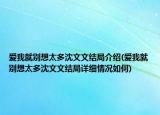 愛我就別想太多沈文文結局介紹(愛我就別想太多沈文文結局詳細情況如何)