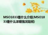 MSO1033是什么介紹(MSO1033是什么詳細(xì)情況如何)