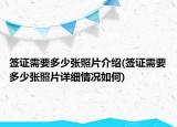 簽證需要多少張照片介紹(簽證需要多少張照片詳細情況如何)