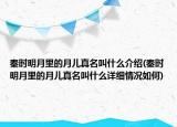 秦時(shí)明月里的月兒真名叫什么介紹(秦時(shí)明月里的月兒真名叫什么詳細(xì)情況如何)