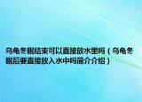 烏龜冬眠結(jié)束可以直接放水里嗎（烏龜冬眠后要直接放入水中嗎簡介介紹）