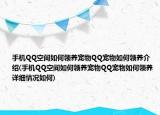 手機QQ空間如何領(lǐng)養(yǎng)寵物QQ寵物如何領(lǐng)養(yǎng)介紹(手機QQ空間如何領(lǐng)養(yǎng)寵物QQ寵物如何領(lǐng)養(yǎng)詳細情況如何)