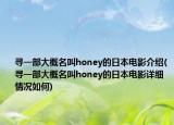 尋一部大概名叫honey的日本電影介紹(尋一部大概名叫honey的日本電影詳細情況如何)