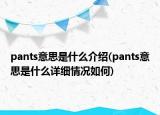 pants意思是什么介紹(pants意思是什么詳細(xì)情況如何)