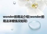 wonder的用法介紹(wonder的用法詳細情況如何)