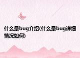 什么是bug介紹(什么是bug詳細(xì)情況如何)