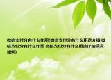 微信支付分有什么作用(微信支付分有什么用途介紹 微信支付分有什么作用 微信支付分有什么用途詳細(xì)情況如何)