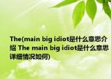 The(main big idiot是什么意思介紹 The main big idiot是什么意思詳細(xì)情況如何)