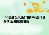 ldg是什么隊(duì)伍介紹(ldg是什么隊(duì)伍詳細(xì)情況如何)