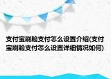 支付寶刷臉支付怎么設(shè)置介紹(支付寶刷臉支付怎么設(shè)置詳細(xì)情況如何)