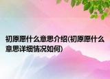 初原愿什么意思介紹(初原愿什么意思詳細(xì)情況如何)