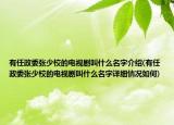 有任政委張少校的電視劇叫什么名字介紹(有任政委張少校的電視劇叫什么名字詳細(xì)情況如何)