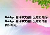 Bridget翻譯中文是什么意思介紹(Bridget翻譯中文是什么意思詳細情況如何)