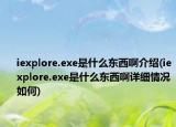 iexplore.exe是什么東西啊介紹(iexplore.exe是什么東西啊詳細(xì)情況如何)