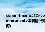 commitments介紹(commitments詳細情況如何)