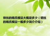 鐵絲的楊氏模量大概是多少（鋼絲的楊氏模量一般多少簡(jiǎn)介介紹）