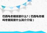 巴西龜冬眠需要什么?（巴西龜冬眠嗎冬眠需要什么簡(jiǎn)介介紹）