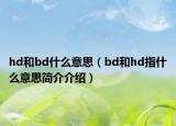 hd和bd什么意思（bd和hd指什么意思簡(jiǎn)介介紹）