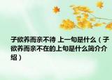 子欲養(yǎng)而親不待 上一句是什么（子欲養(yǎng)而親不在的上句是什么簡介介紹）