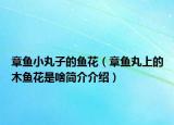 章魚(yú)小丸子的魚(yú)花（章魚(yú)丸上的木魚(yú)花是啥簡(jiǎn)介介紹）