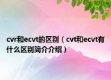 cvr和ecvt的區(qū)別（cvt和ecvt有什么區(qū)別簡介介紹）