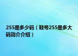 255是多少碼（鞋號255是多大碼簡介介紹）