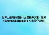 世界上最高的塔是什么塔有多少米（世界上最高的塔是哪國的塔多少米簡介介紹）