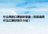 什么樣的口罩能防霧霾（防霧霾用什么口罩好簡介介紹）