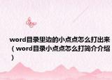 word目錄里邊的小點(diǎn)點(diǎn)怎么打出來(lái)（word目錄小點(diǎn)點(diǎn)怎么打簡(jiǎn)介介紹）