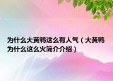 為什么大黃鴨這么有人氣（大黃鴨為什么這么火簡(jiǎn)介介紹）