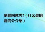 側(cè)漏啥意思?（什么是側(cè)漏簡(jiǎn)介介紹）