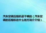 汽車空調(diào)壓縮機(jī)是干嘛的（汽車空調(diào)的壓縮機(jī)在什么地方簡(jiǎn)介介紹）