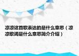 涼涼這首歌表達(dá)的是什么意思（涼涼歌詞是什么意思簡介介紹）