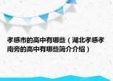 孝感市的高中有哪些（湖北孝感孝南旁的高中有哪些簡介介紹）