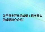 關(guān)于目字開頭的成語（目字開頭的成語簡介介紹）