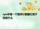 cpu中有一個程序計數(shù)器它用于存放什么