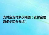 支付寶支付多少限額（支付寶限額多少簡介介紹）