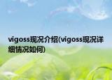 vigoss現(xiàn)況介紹(vigoss現(xiàn)況詳細情況如何)