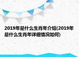 2019年是什么生肖年介紹(2019年是什么生肖年詳細(xì)情況如何)