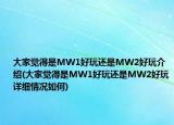 大家覺得是MW1好玩還是MW2好玩介紹(大家覺得是MW1好玩還是MW2好玩詳細情況如何)