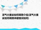 濕氣太重該如何調(diào)理介紹(濕氣太重該如何調(diào)理詳細(xì)情況如何)