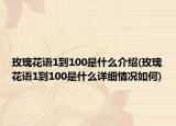 玫瑰花語1到100是什么介紹(玫瑰花語1到100是什么詳細(xì)情況如何)