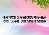 伯勞鳥吃什么毛色比較好介紹(伯勞鳥吃什么毛色比較好詳細情況如何)