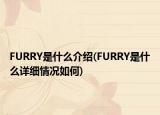 FURRY是什么介紹(FURRY是什么詳細(xì)情況如何)