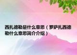 西扎德勒是什么意思（羅薩扎西德勒什么意思簡介介紹）