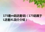 175是m碼還是l碼（175碼屬于L還是XL簡(jiǎn)介介紹）